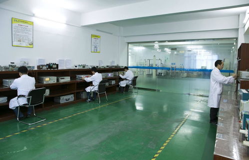 四川德陽漆膜擺式硬度計檢定出報告周期及計量技術服務指南